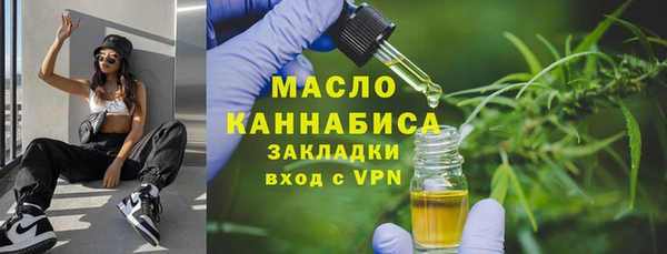стаф Шадринск