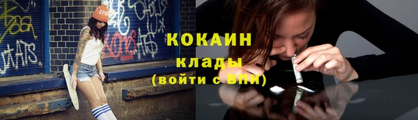 крисы Шали