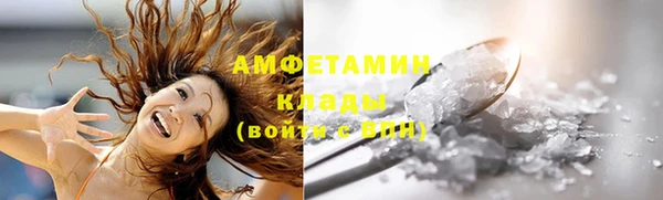 стаф Шадринск