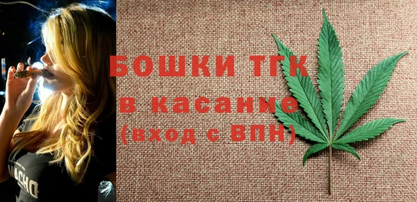 индика Балахна