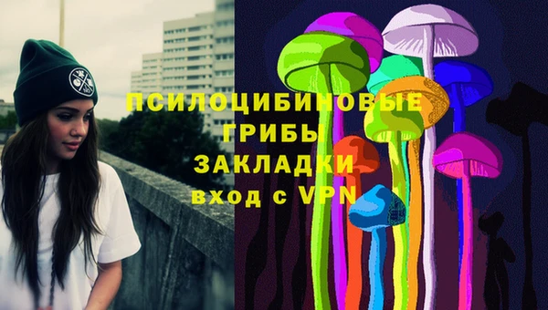 PSILOCYBIN Володарск