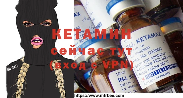 стаф Шадринск