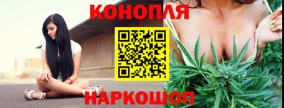 СК Дубна