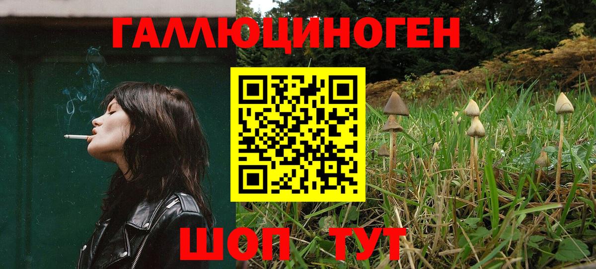 Электрогорск  Псилоцибиновые грибы мицелий  наркошоп  Вход с VPN 